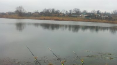 IMG_20210318_100202[1].jpg