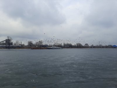 20210320_160138.jpg