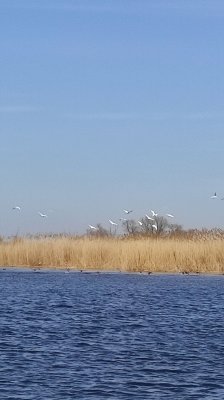IMG_20210326_104414.jpg