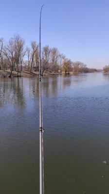 IMG_20210330_102455.jpg