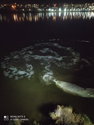 IMG_20210408_211257.jpg