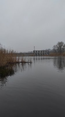 IMG_20210414_062639.jpg