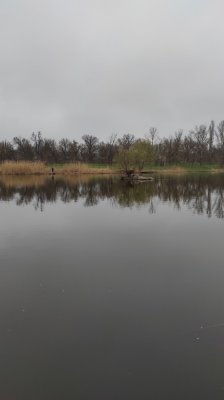 IMG_20210414_071311.jpg