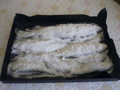 P1180001.JPG