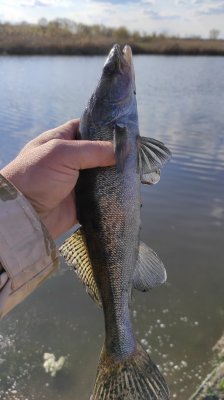 IMG_20210425_165037.jpg
