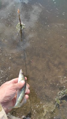 IMG_20210425_172631.jpg