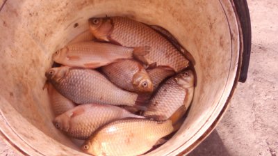 IMG_20210430_155823[1].jpg