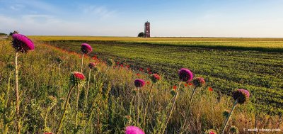 habl-lighthouse.jpg