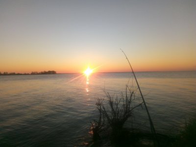 IMG_20210504_052900.jpg