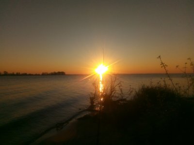 IMG_20210504_054025.jpg