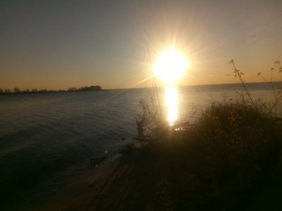 IMG_20210504_060628.jpg