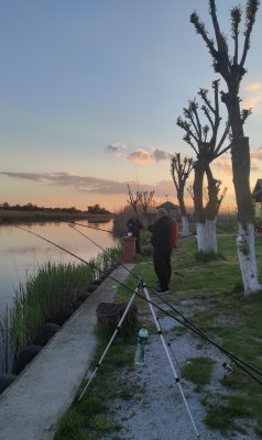 IMG_20210514_102018.jpg