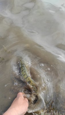 IMG_20210520_205616.jpg
