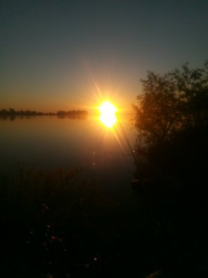 IMG_20210522_051357.jpg