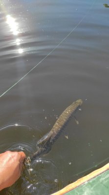 IMG_20210523_160057.jpg
