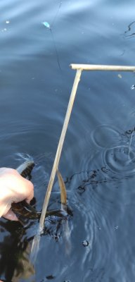IMG_20210523_160355.jpg