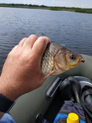 IMG_20210526_113045.jpg