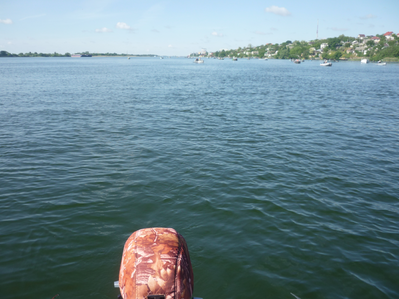 P1180061.png