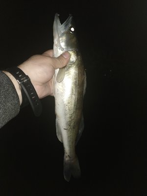 IMG_20210606_012154.jpg