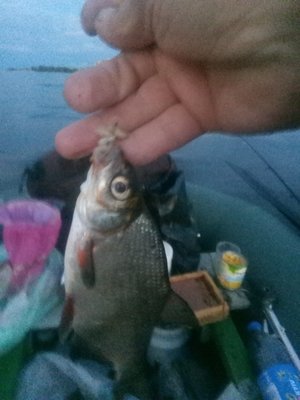 IMG_20210611_212804.jpg