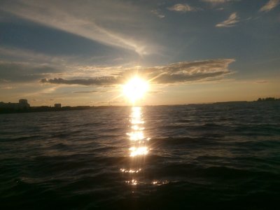 IMG_20210611_201027.jpg