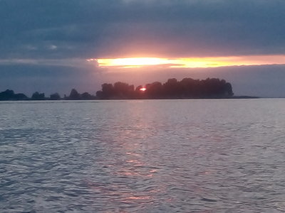 IMG_20210612_045220.jpg