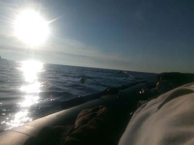 IMG_20210612_061833.jpg