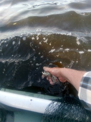 IMG_20210617_083700.jpg