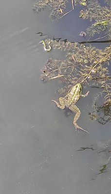 IMG_20210624_104622.jpg