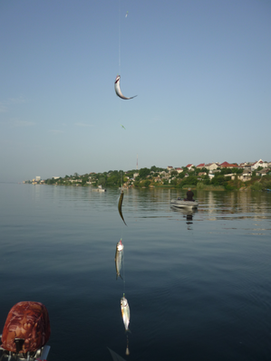 P1180128.png