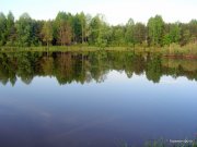 Изображение 033.jpg