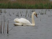 IMG_0171.jpg