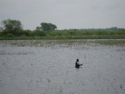 IMG_0185.jpg