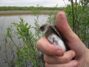 IMG_0193.jpg