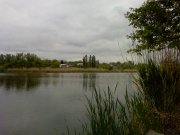 PIC-0098.jpg