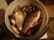 DSC06700.JPG