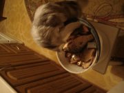 DSC06704.JPG