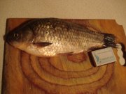 DSC06705.JPG