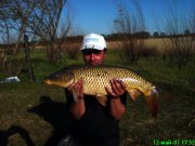 DSC00176-2.jpg