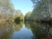 DSC00356.JPG