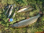 DSC00360.JPG