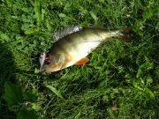 DSC00307.JPG
