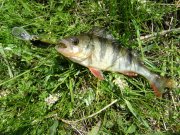 DSC00308.JPG
