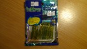 DSC01441.JPG