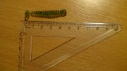 DSC01444.JPG