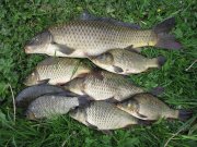 IMG_0753.jpg