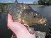 IMG_0739.jpg