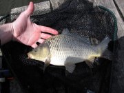 IMG_0736.jpg
