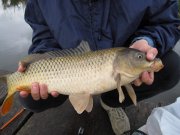IMG_0714.jpg