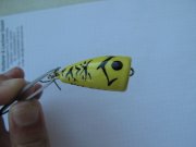 IMG_0646.JPG